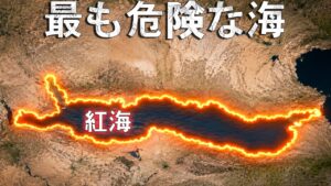 紅海では、なぜ何も触ってはいけないのか？