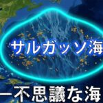 恐るべきサルガッソ海 — 岸のない海