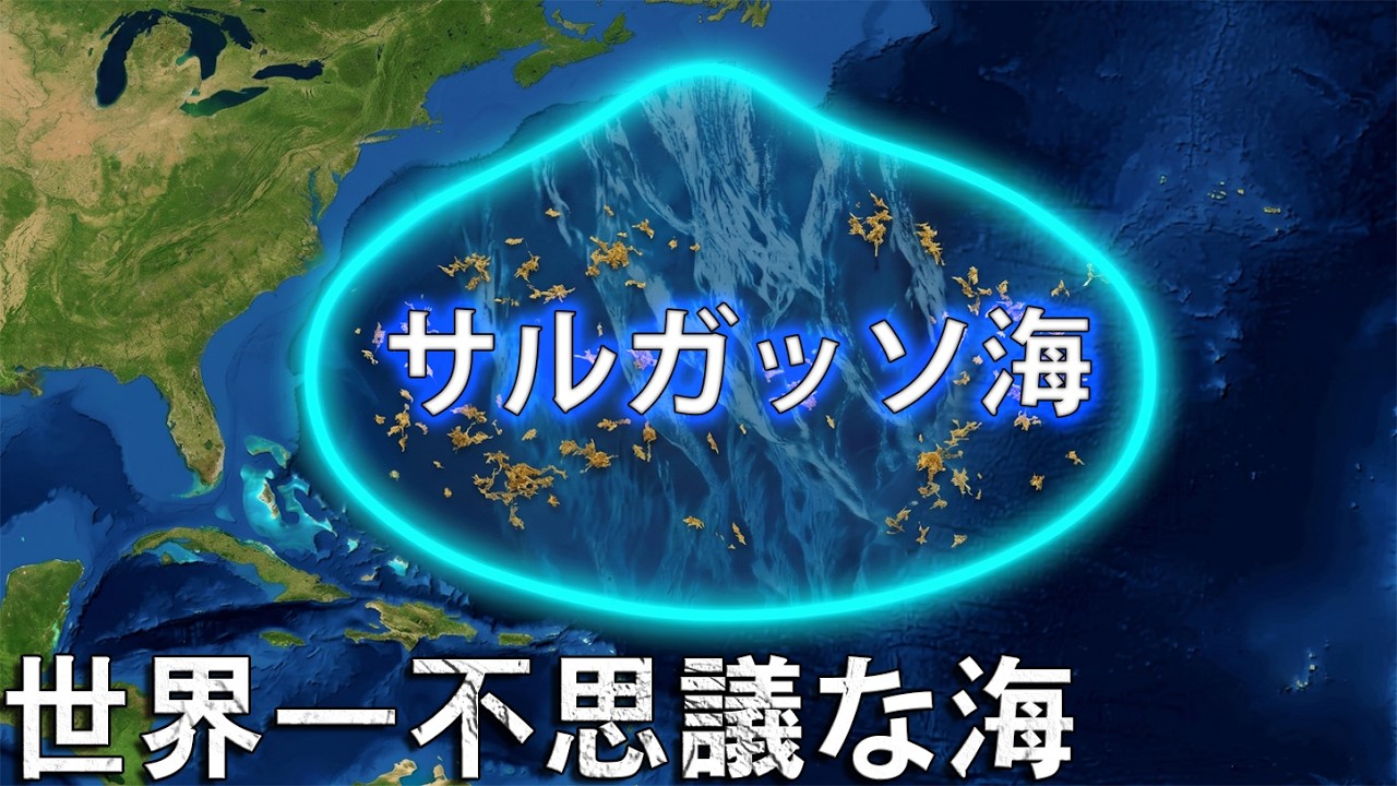 恐るべきサルガッソ海 — 岸のない海