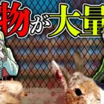 【ヒトコワ】学校の飼育小屋が荒らされる...動物を○すサイコ犯