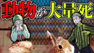 【ヒトコワ】学校の飼育小屋が荒らされる...動物を○すサイコ犯