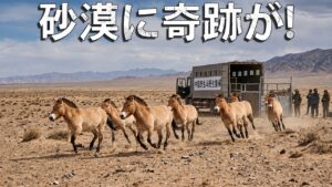 中国が何も育たない不毛の砂漠に馬を放った ――その後に起きた事は、誰も予想していなかった