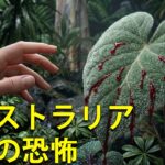 牙をむく大自然！オーストラリアに絶対に行ってはいけない11の理由とは？
