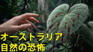牙をむく大自然！オーストラリアに絶対に行ってはいけない11の理由とは？
